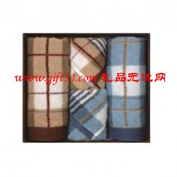 潔麗雅布拉格商務毛巾套裝